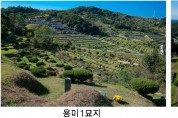서울시설공단, ‘서울시립묘지 4곳’ 분묘 개장해 화장 시 40만원 지원