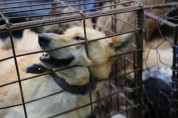동물권행동 카라, ‘개 식용’ 종식 촉구…그만먹개 캠페인